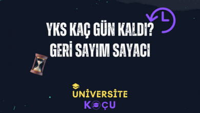 yks kaç gün kaldı?