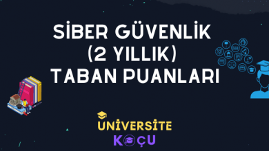 Siber Guvenlik 2 Yillik Taban Puanlari