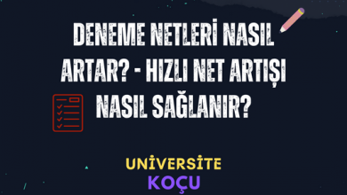 Deneme Netleri Nasıl Artar
