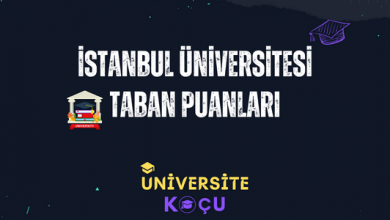 İstanbul Üniversitesi Taban Puanları