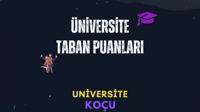 Universite Taban Puanlari