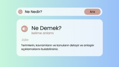 Ne Nedir